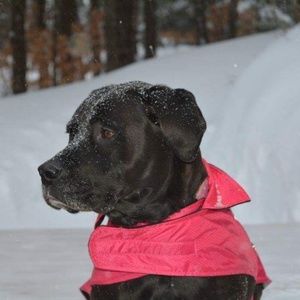 Meet your Posher, Carly